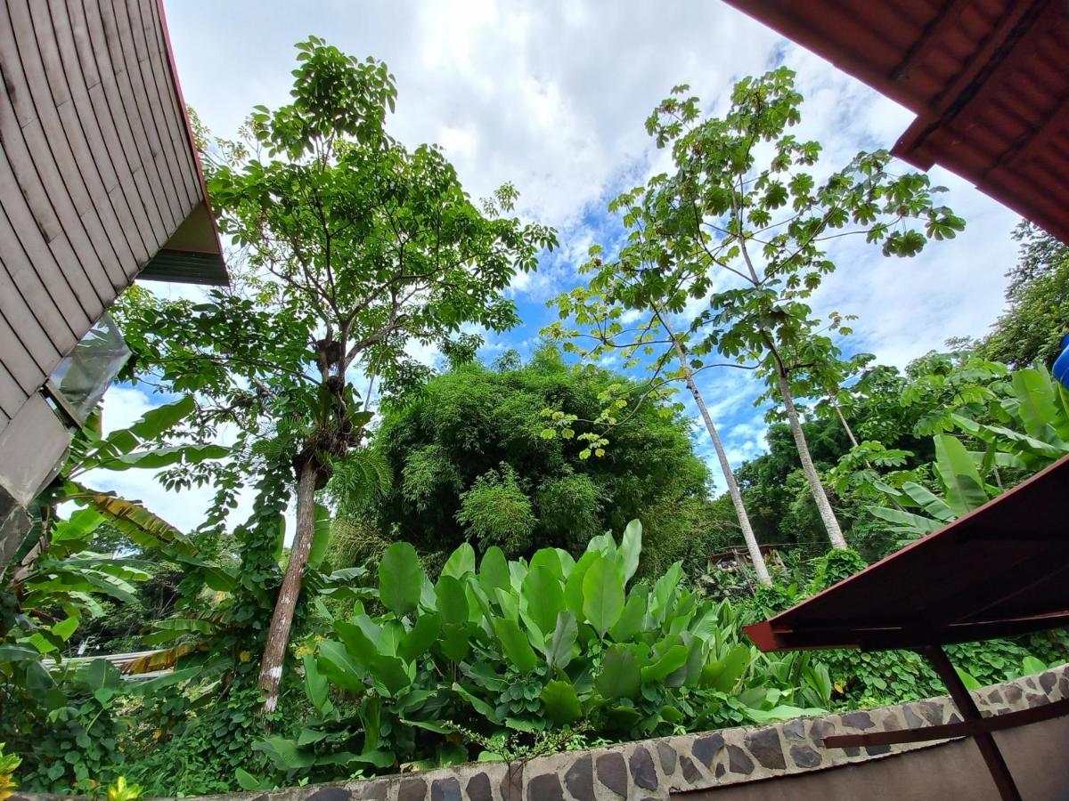 Sunrise House Bed and Breakfast Quepos Exteriör bild